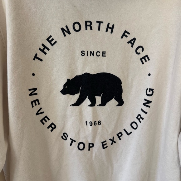 The North Face Men's Cream Hoodie Size L - Picture 12 of 12